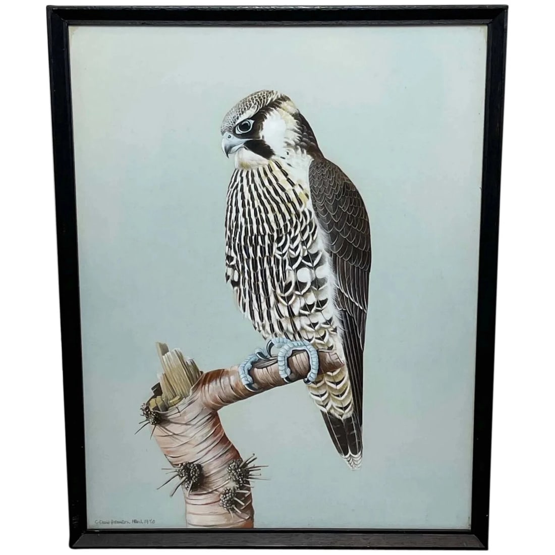 Fine British Art Gouache Watercolour Peregrine Falcon By David Johnston (1 of 12)
