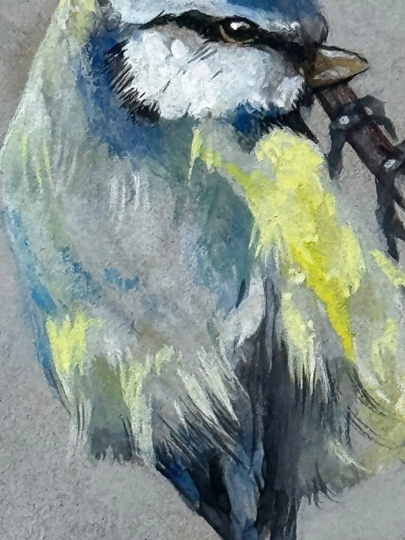 Victorian C1900 Antique Painting Apple Blossom Blue Tit Bird by Arthur Wardle - 19