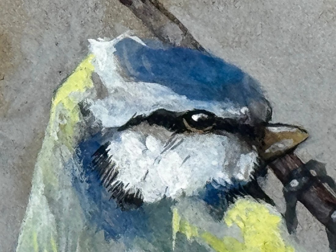 Victorian C1900 Antique Painting Apple Blossom Blue Tit Bird by Arthur Wardle - 20