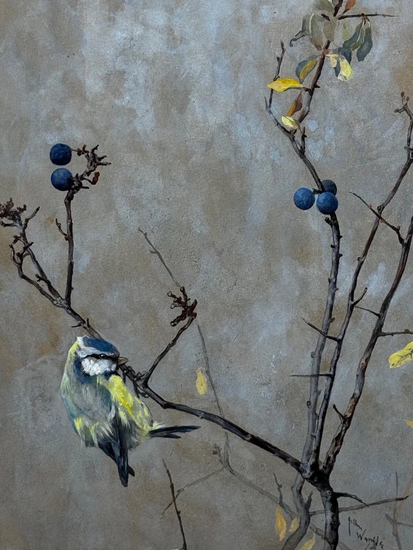 Victorian C1900 Antique Painting Apple Blossom Blue Tit Bird by Arthur Wardle - 2