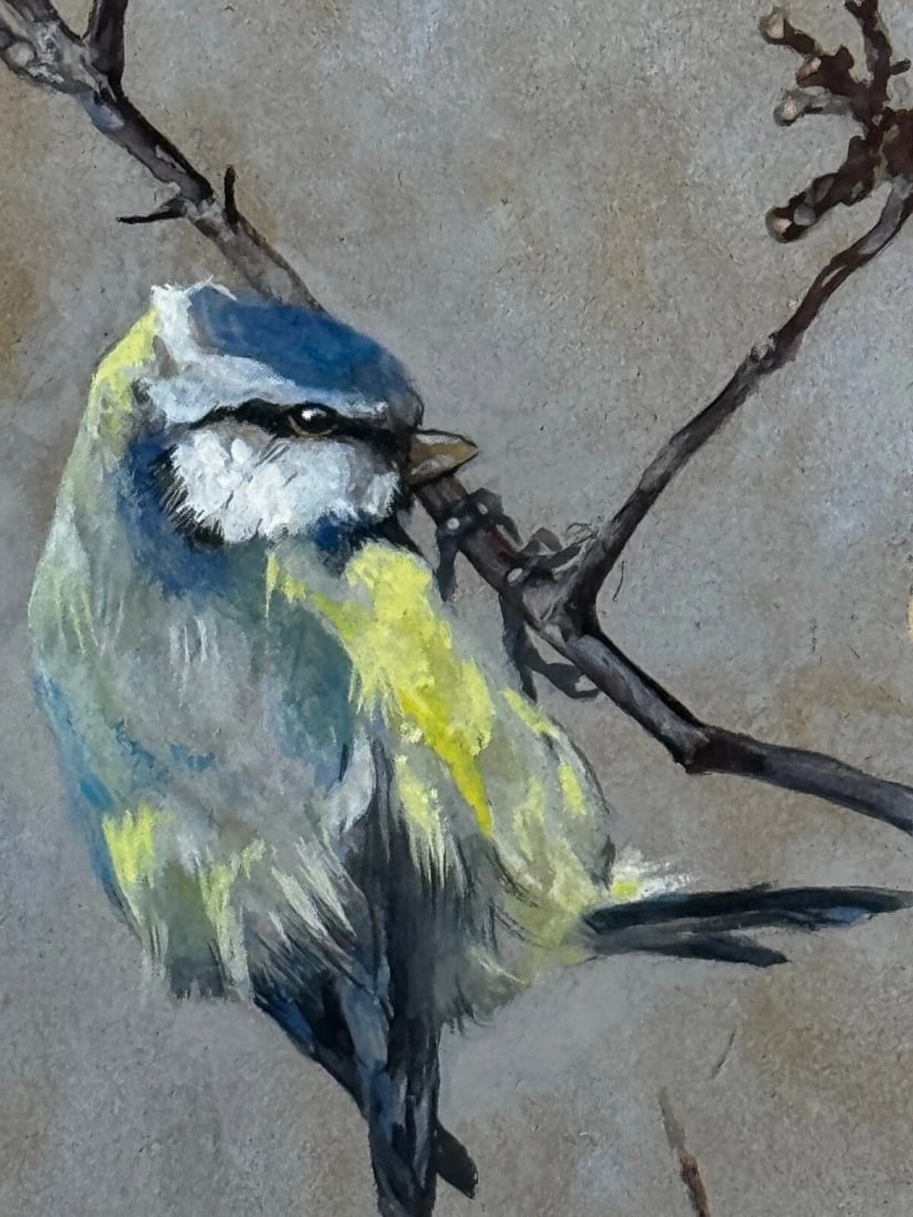Victorian C1900 Antique Painting Apple Blossom Blue Tit Bird by Arthur Wardle - 3