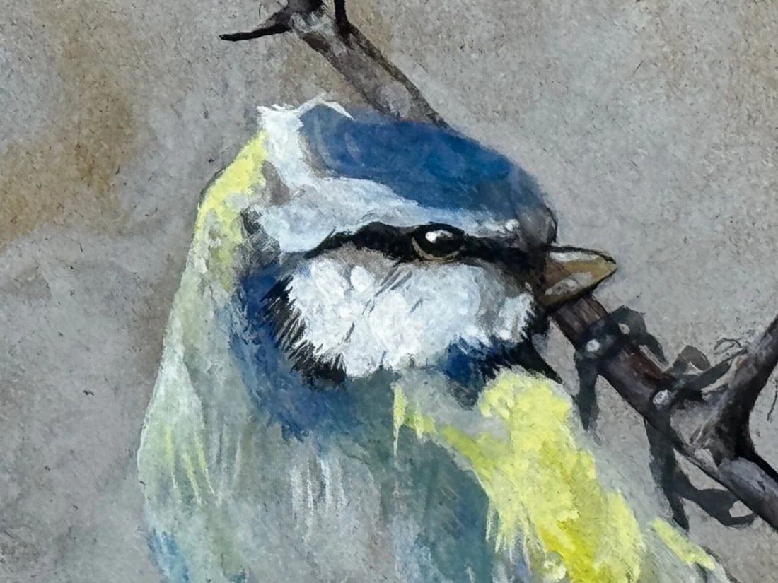 Victorian C1900 Antique Painting Apple Blossom Blue Tit Bird by Arthur Wardle - 4