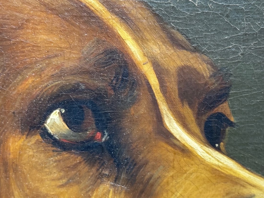 Victorian Masterpiece Oil Painting Landseer's Mastiff Bloodhound Prized Dog Odin - 11