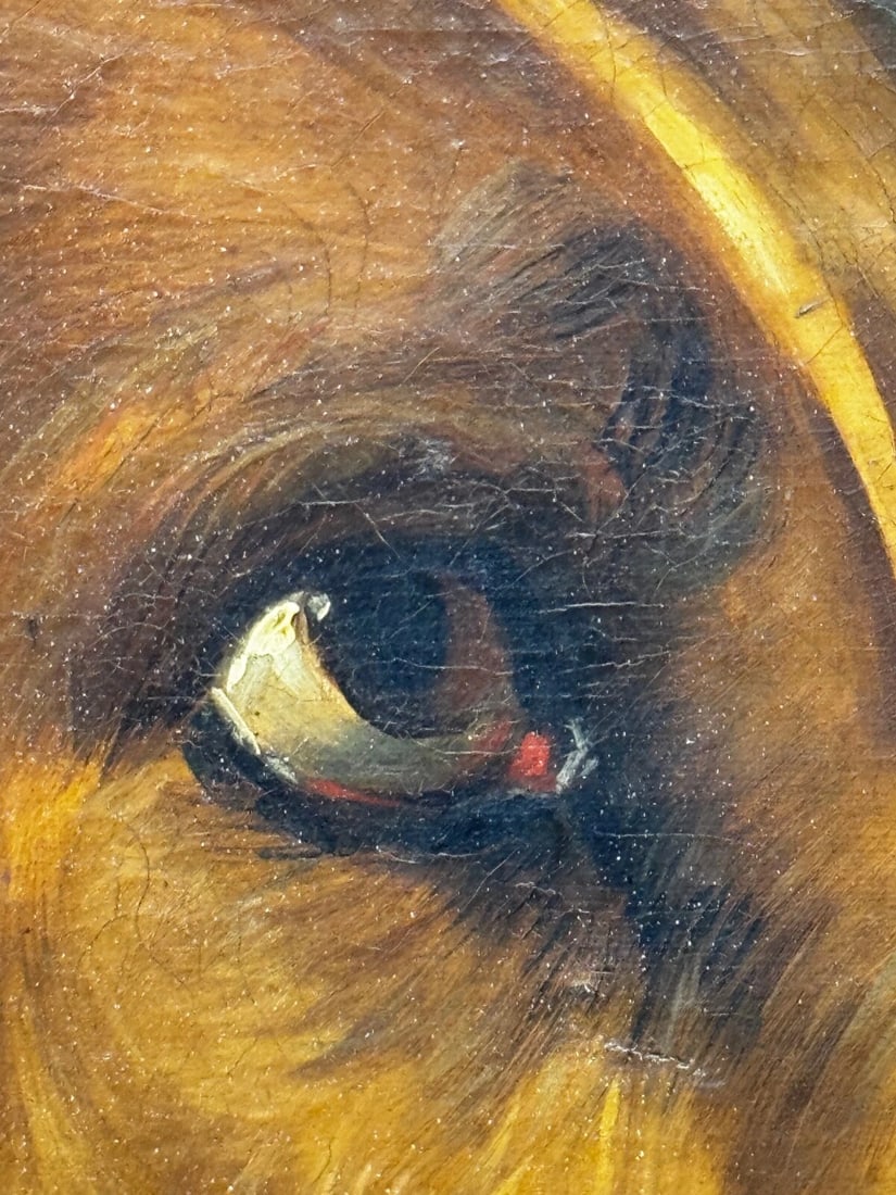 Victorian Masterpiece Oil Painting Landseer's Mastiff Bloodhound Prized Dog Odin - 12