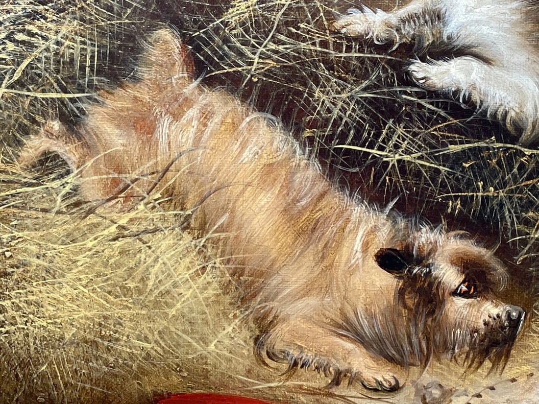 Oil Painting 3 Hunting Terrier Dogs "A Sharp Lookout" Edward Armfield 1817-1896 - 5