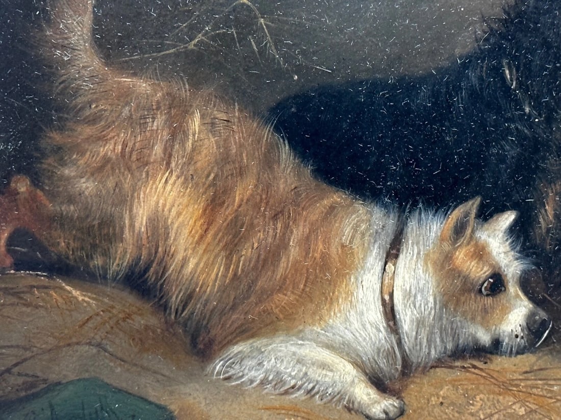 Oil Painting Hunting 2 Terrier Dogs On The Scent Ratting George Armfield C1867 - 10