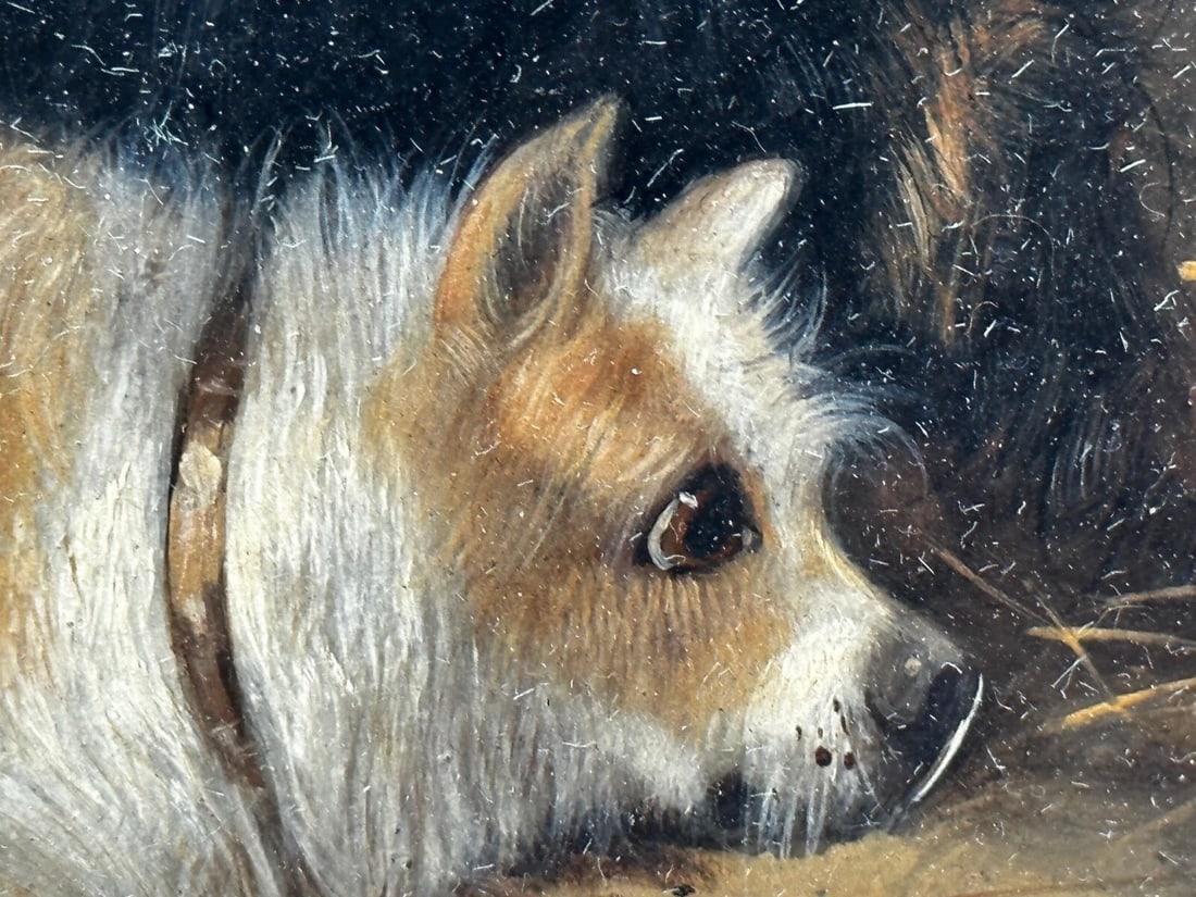 Oil Painting Hunting 2 Terrier Dogs On The Scent Ratting George Armfield C1867 - 12