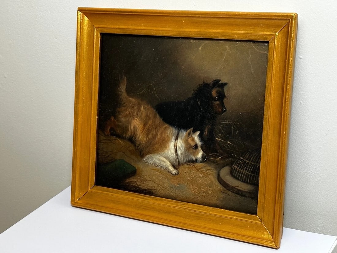 Oil Painting Hunting 2 Terrier Dogs On The Scent Ratting George Armfield C1867 - 14