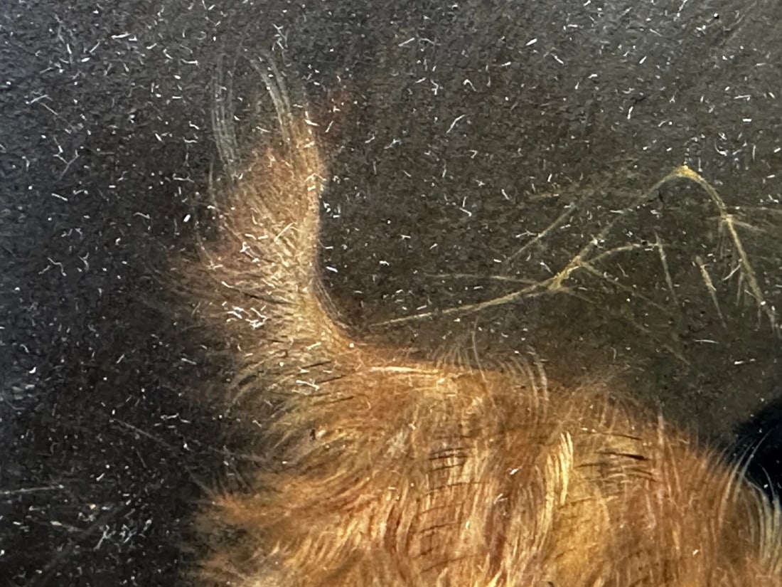 Oil Painting Hunting 2 Terrier Dogs On The Scent Ratting George Armfield C1867 - 16
