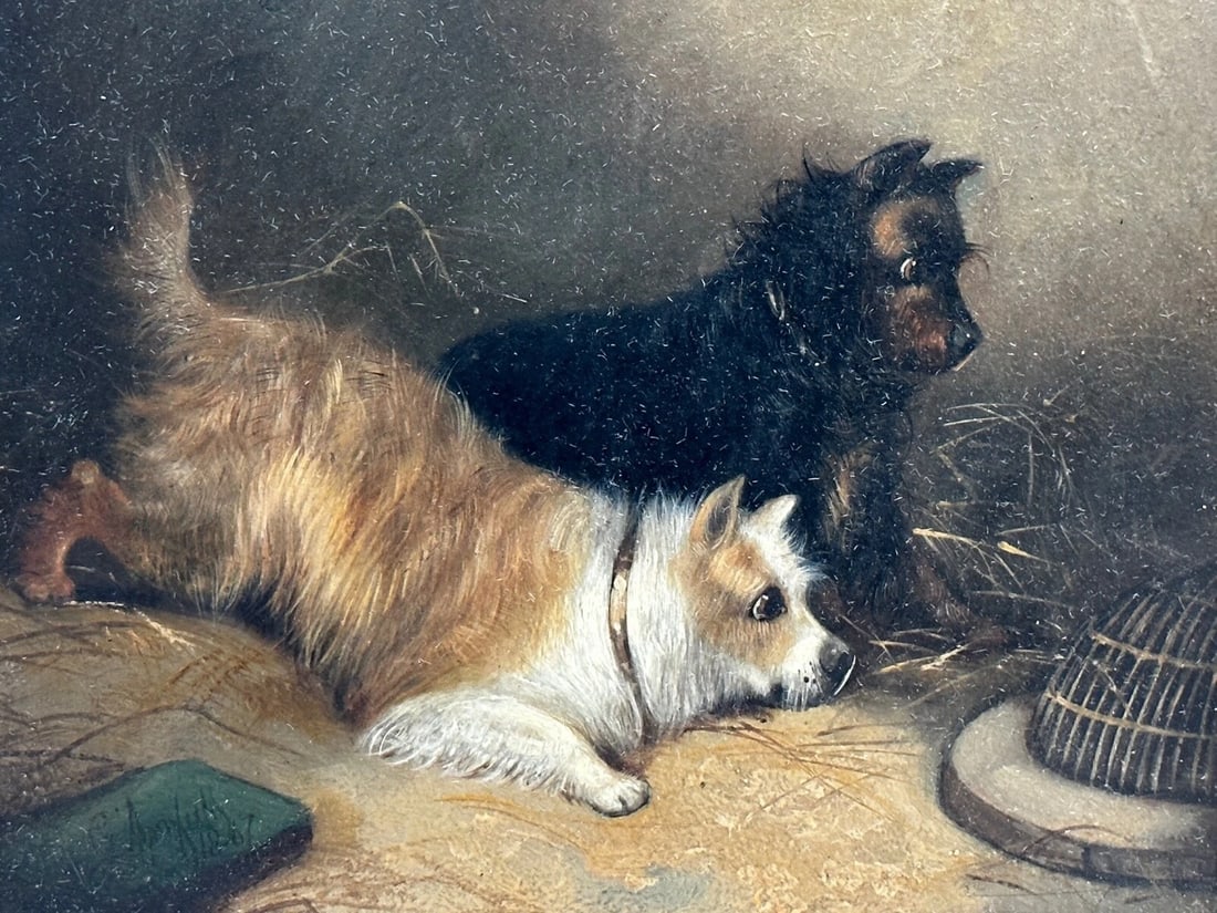 Oil Painting Hunting 2 Terrier Dogs On The Scent Ratting George Armfield C1867 - 2