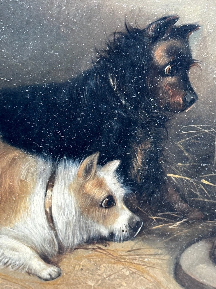 Oil Painting Hunting 2 Terrier Dogs On The Scent Ratting George Armfield C1867 - 3