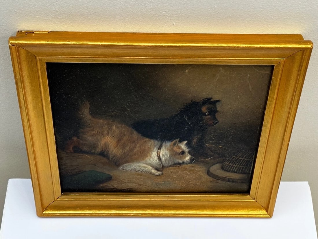 Oil Painting Hunting 2 Terrier Dogs On The Scent Ratting George Armfield C1867 - 8