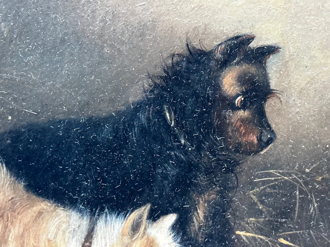 Oil Painting Hunting 2 Terrier Dogs On The Scent Ratting George Armfield C1867 - 9
