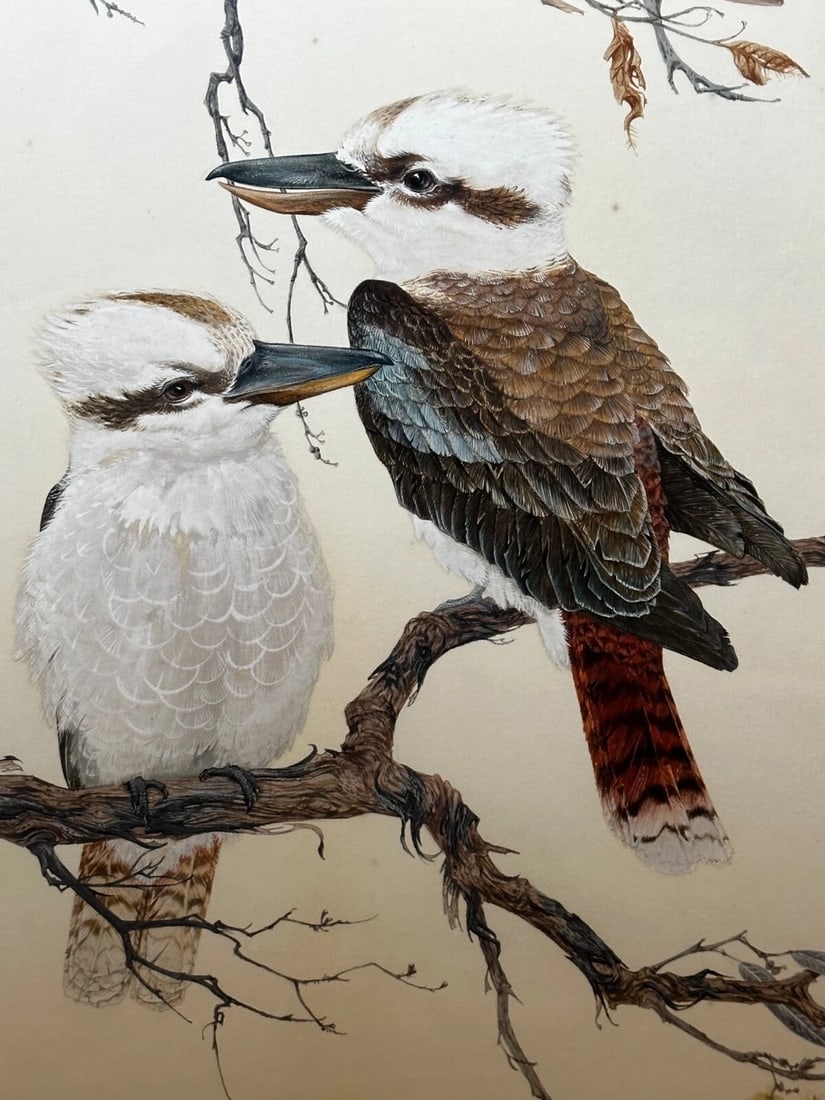 Large Australian Painting Group of Birds 3 Kookaburras In Bush by Robin Hill - 11