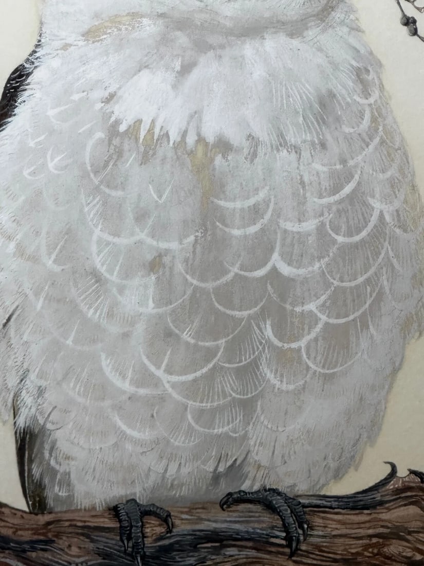 Large Australian Painting Group of Birds 3 Kookaburras In Bush by Robin Hill - 13