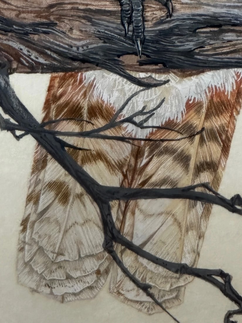 Large Australian Painting Group of Birds 3 Kookaburras In Bush by Robin Hill - 14