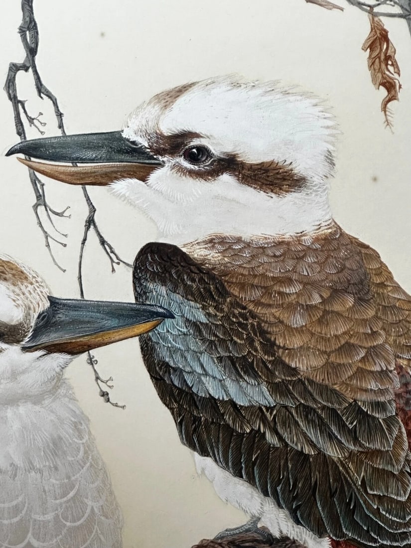Large Australian Painting Group of Birds 3 Kookaburras In Bush by Robin Hill - 15