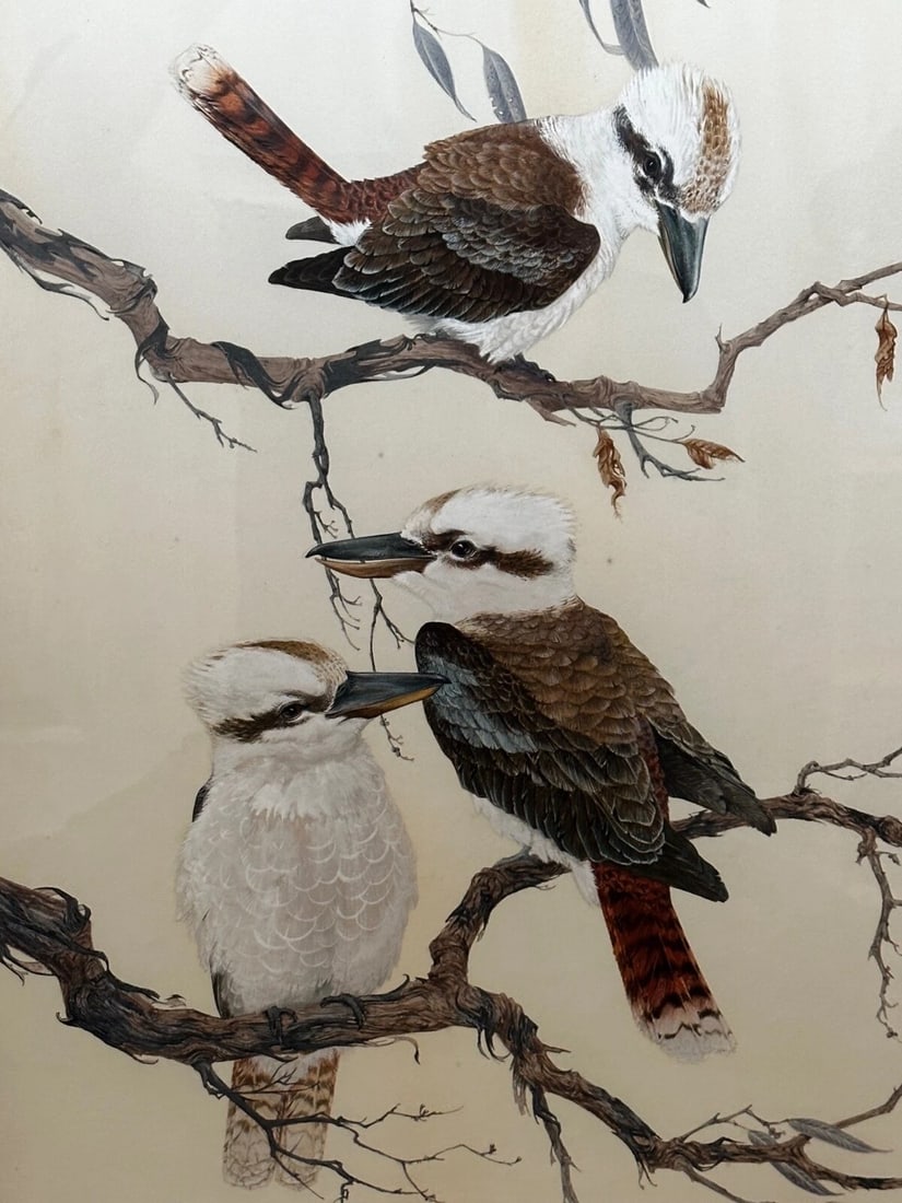 Large Australian Painting Group of Birds 3 Kookaburras In Bush by Robin Hill - 2