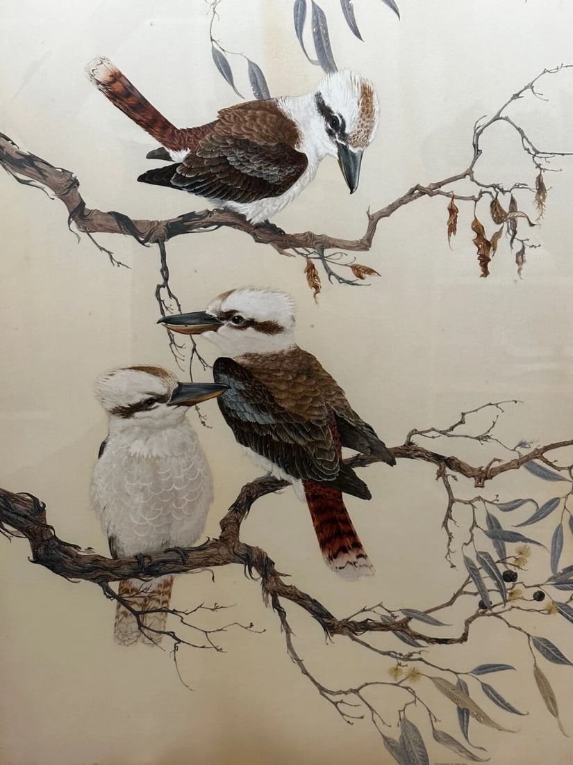 Large Australian Painting Group of Birds 3 Kookaburras In Bush by Robin Hill - 3