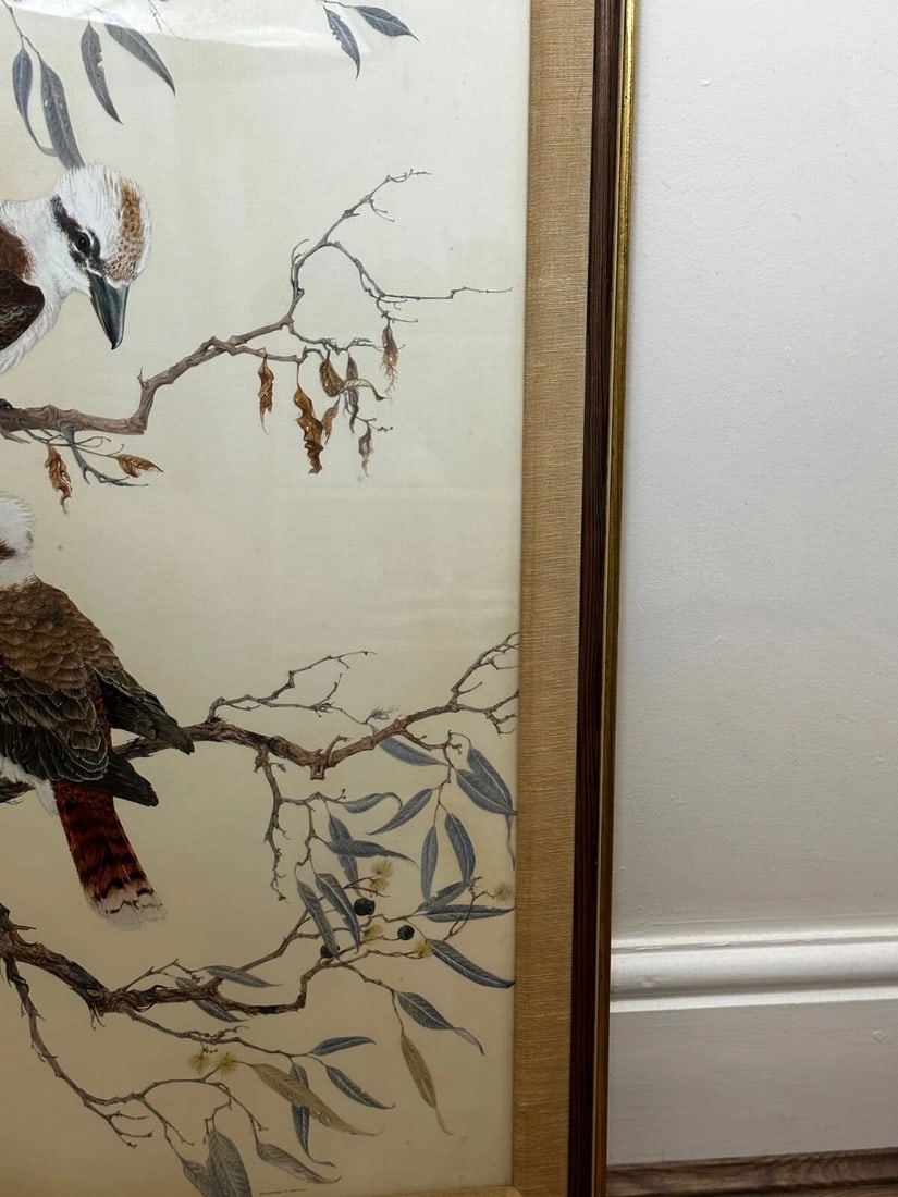 Large Australian Painting Group of Birds 3 Kookaburras In Bush by Robin Hill - 4