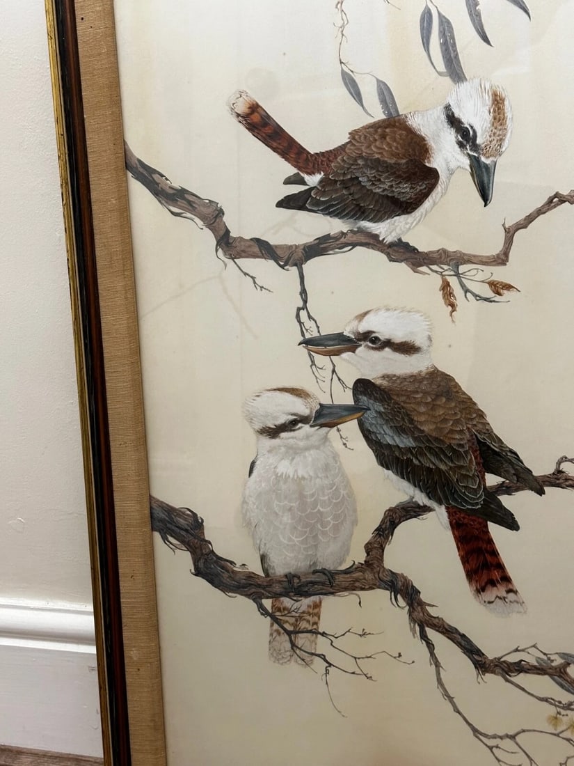 Large Australian Painting Group of Birds 3 Kookaburras In Bush by Robin Hill - 5
