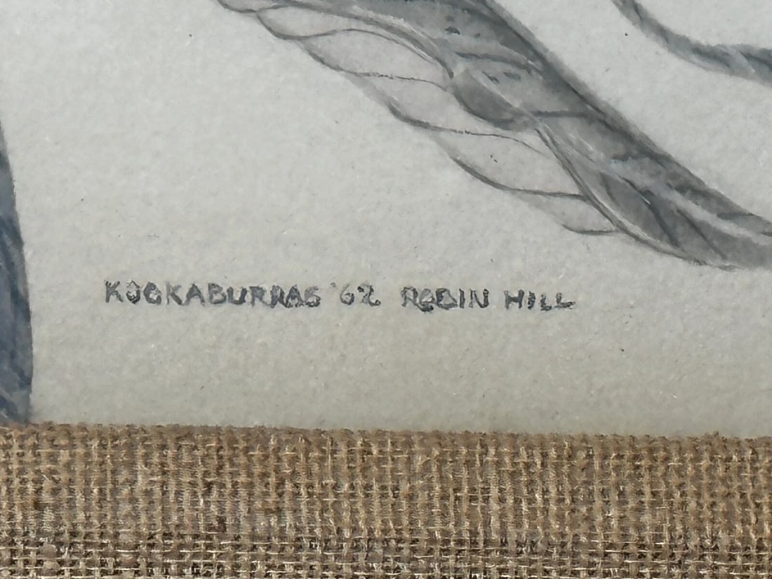 Large Australian Painting Group of Birds 3 Kookaburras In Bush by Robin Hill - 8