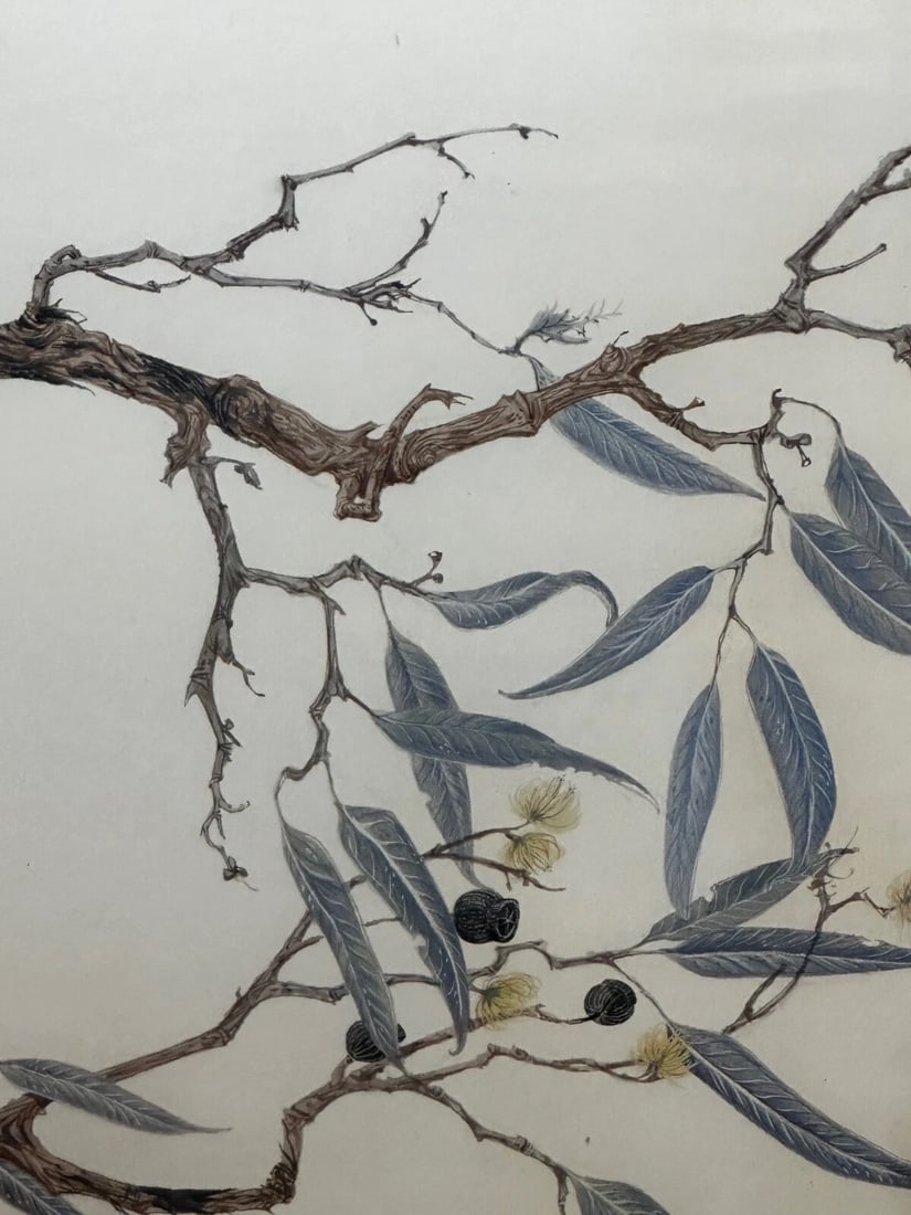 Large Australian Painting Group of Birds 3 Kookaburras In Bush by Robin Hill - 9