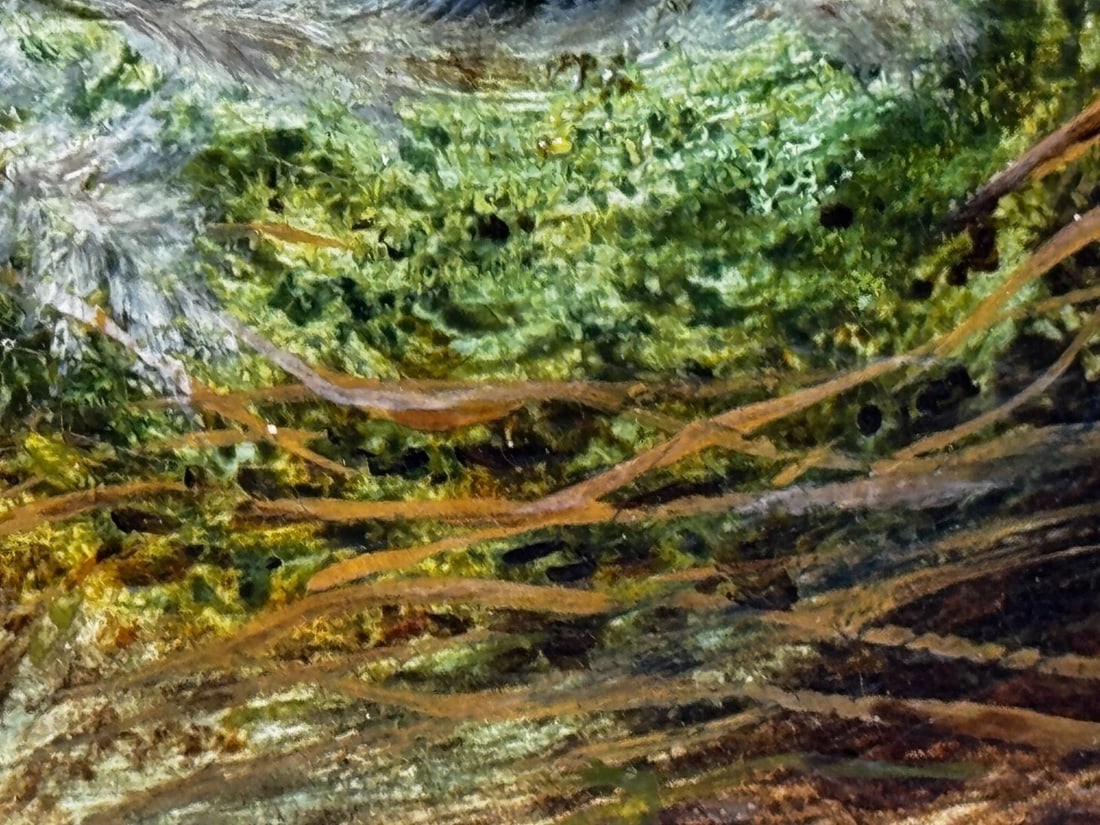 Oil Painting Blossom Flowers Starling Bird Eggs Nest Mossy Bank By Oliver Clare - 15