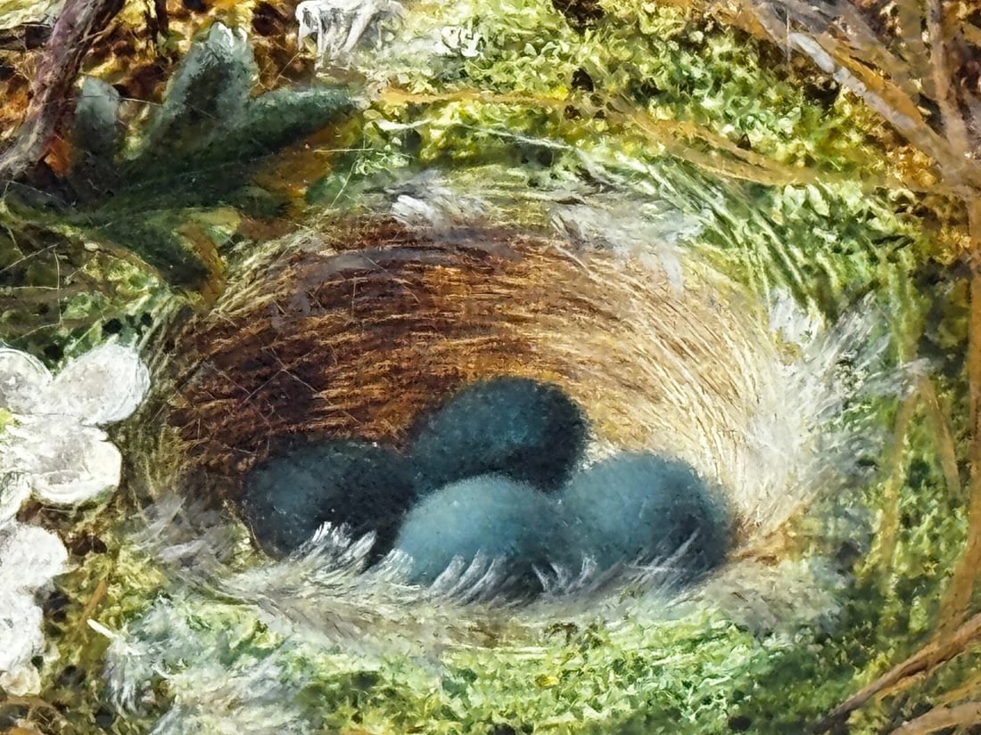 Oil Painting Blossom Flowers Starling Bird Eggs Nest Mossy Bank By Oliver Clare - 7