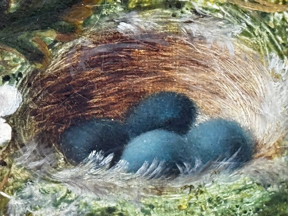 Oil Painting Blossom Flowers Starling Bird Eggs Nest Mossy Bank By Oliver Clare - 8