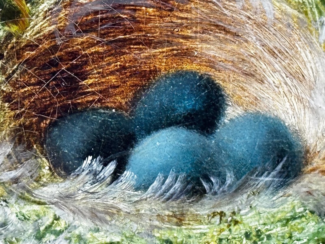 Oil Painting Blossom Flowers Starling Bird Eggs Nest Mossy Bank By Oliver Clare - 9