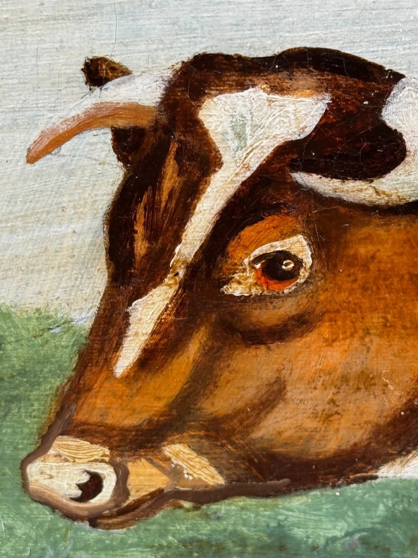 19th Century Oil Painting Prized Shorthorn Bull in the Manner of William Ward - 14