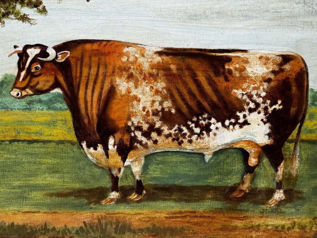 19th Century Oil Painting Prized Shorthorn Bull in the Manner of William Ward - 6