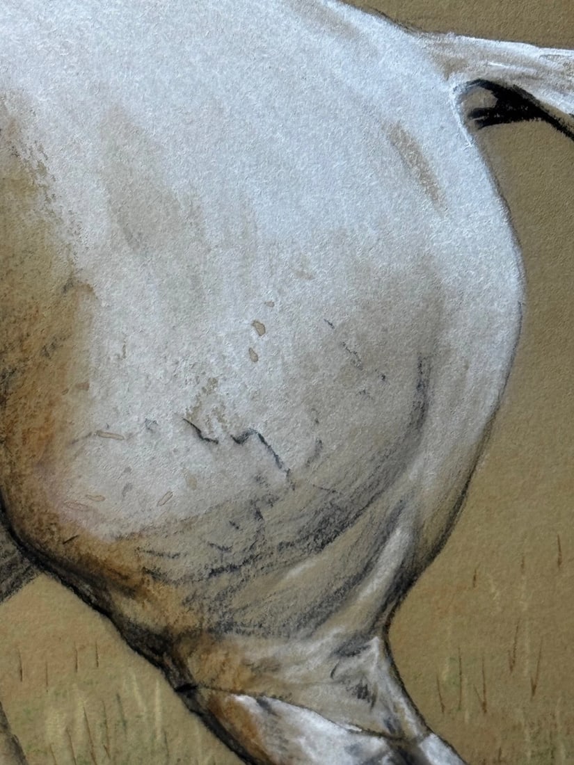 Sporting Painting Quorn Hunt Tom Firr Up Grey Horse by Basil Nightingale - 14
