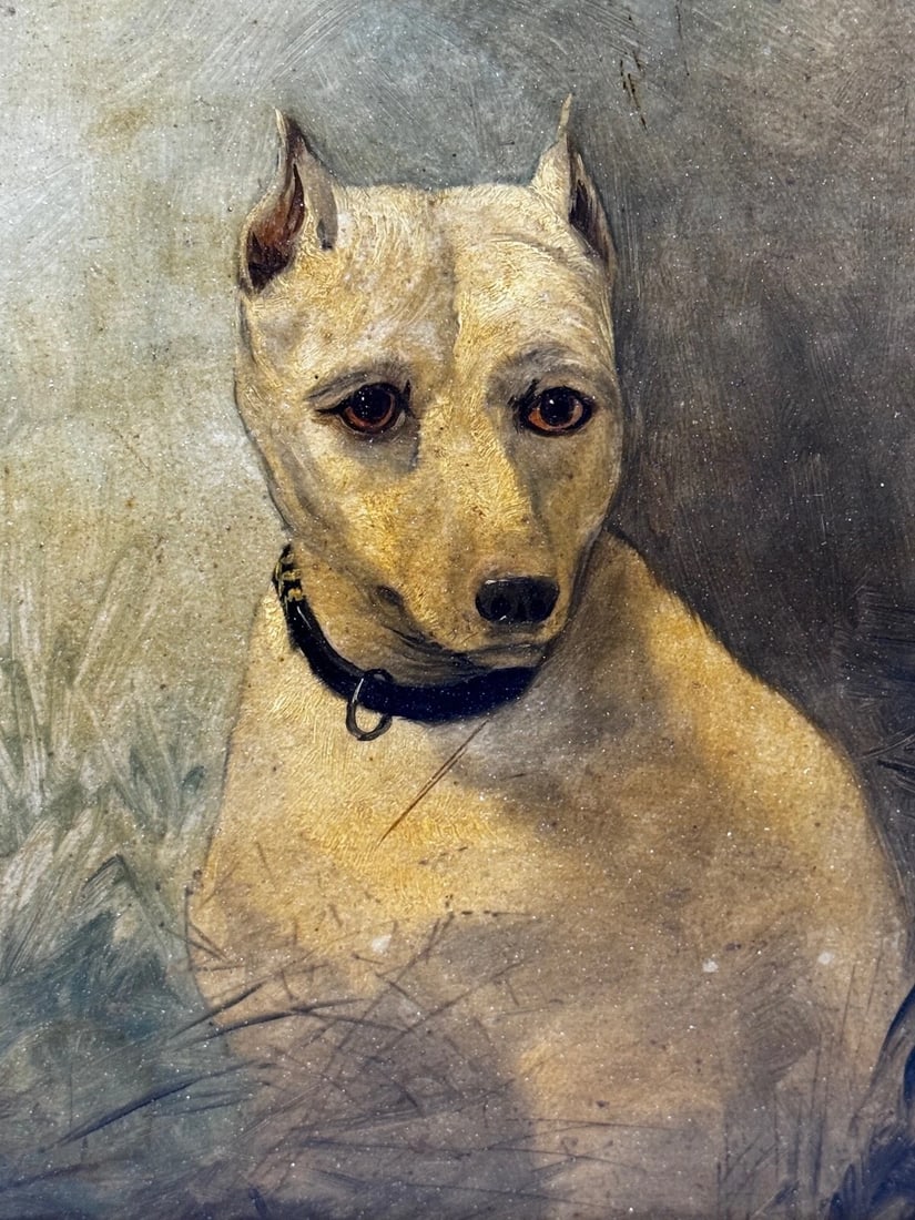 Rare Victorian Oil Painting Extinct White English Terrier Follow Of John Emms - 10