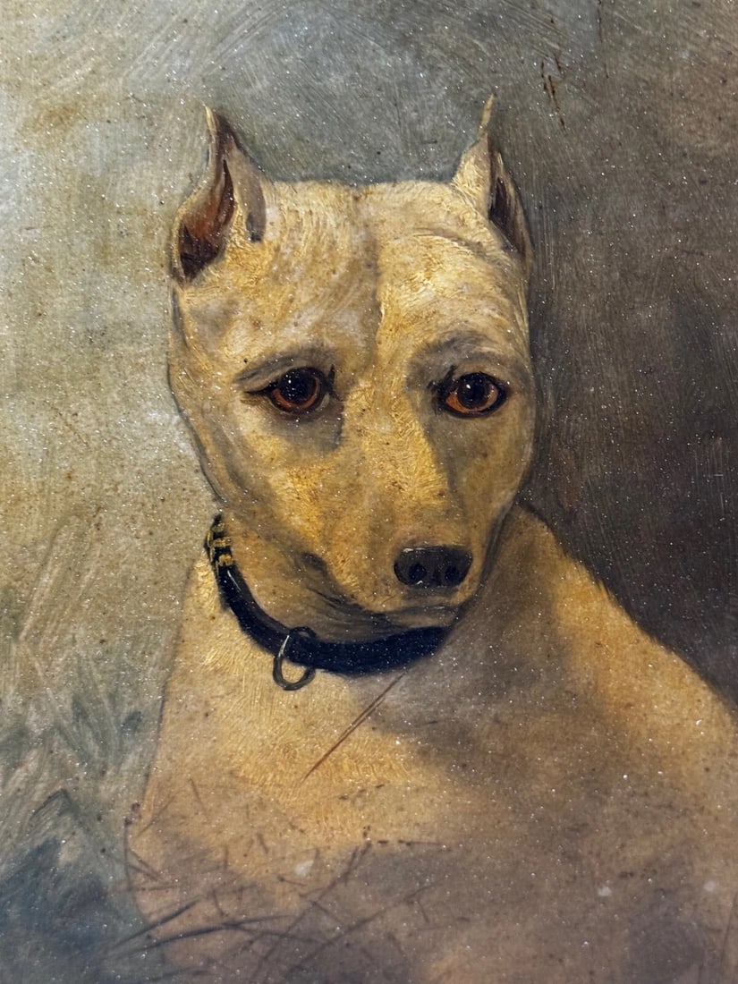 Rare Victorian Oil Painting Extinct White English Terrier Follow Of John Emms - 12