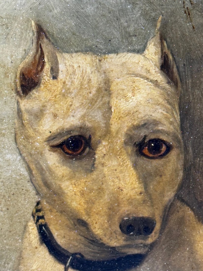 Rare Victorian Oil Painting Extinct White English Terrier Follow Of John Emms - 13