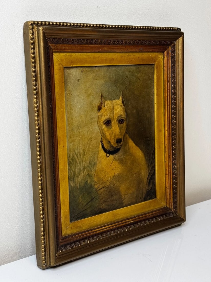 Rare Victorian Oil Painting Extinct White English Terrier Follow Of John Emms - 2