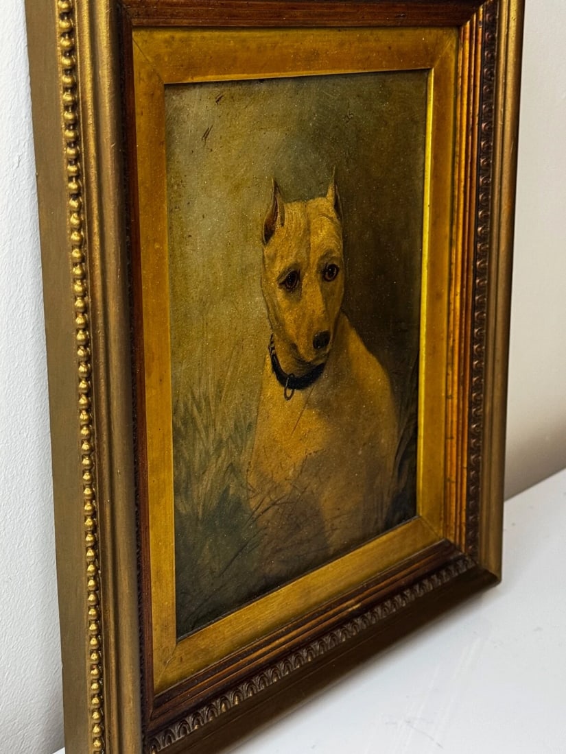 Rare Victorian Oil Painting Extinct White English Terrier Follow Of John Emms - 3
