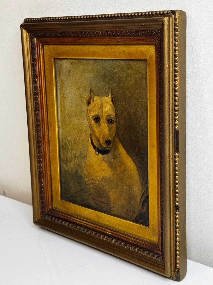 Rare Victorian Oil Painting Extinct White English Terrier Follow Of John Emms - 4