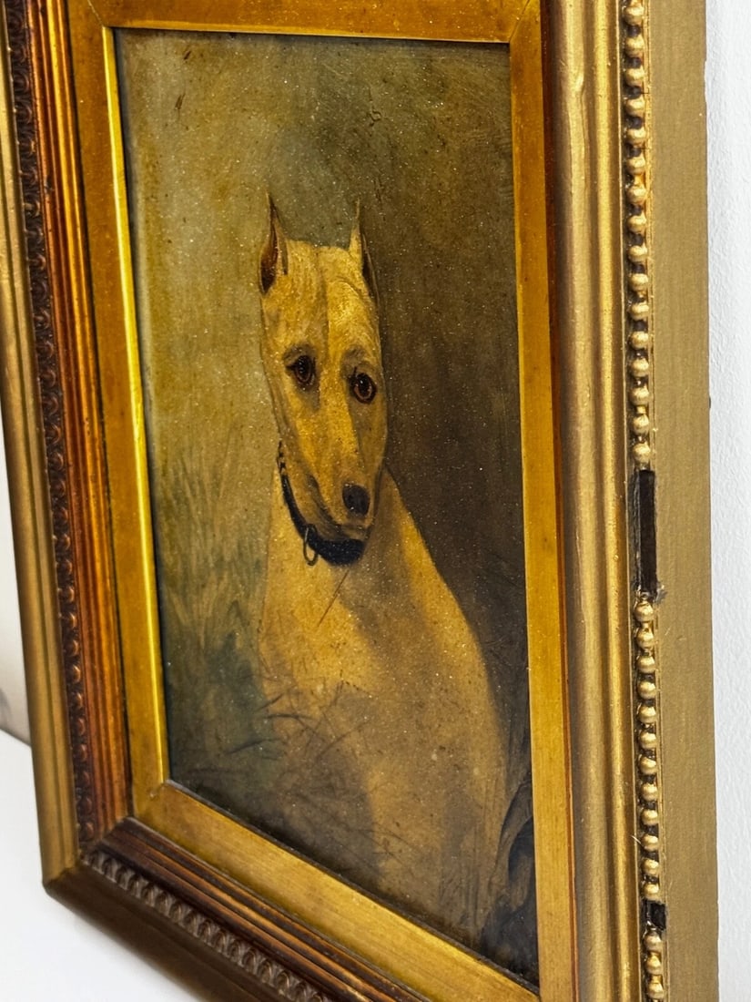 Rare Victorian Oil Painting Extinct White English Terrier Follow Of John Emms - 5