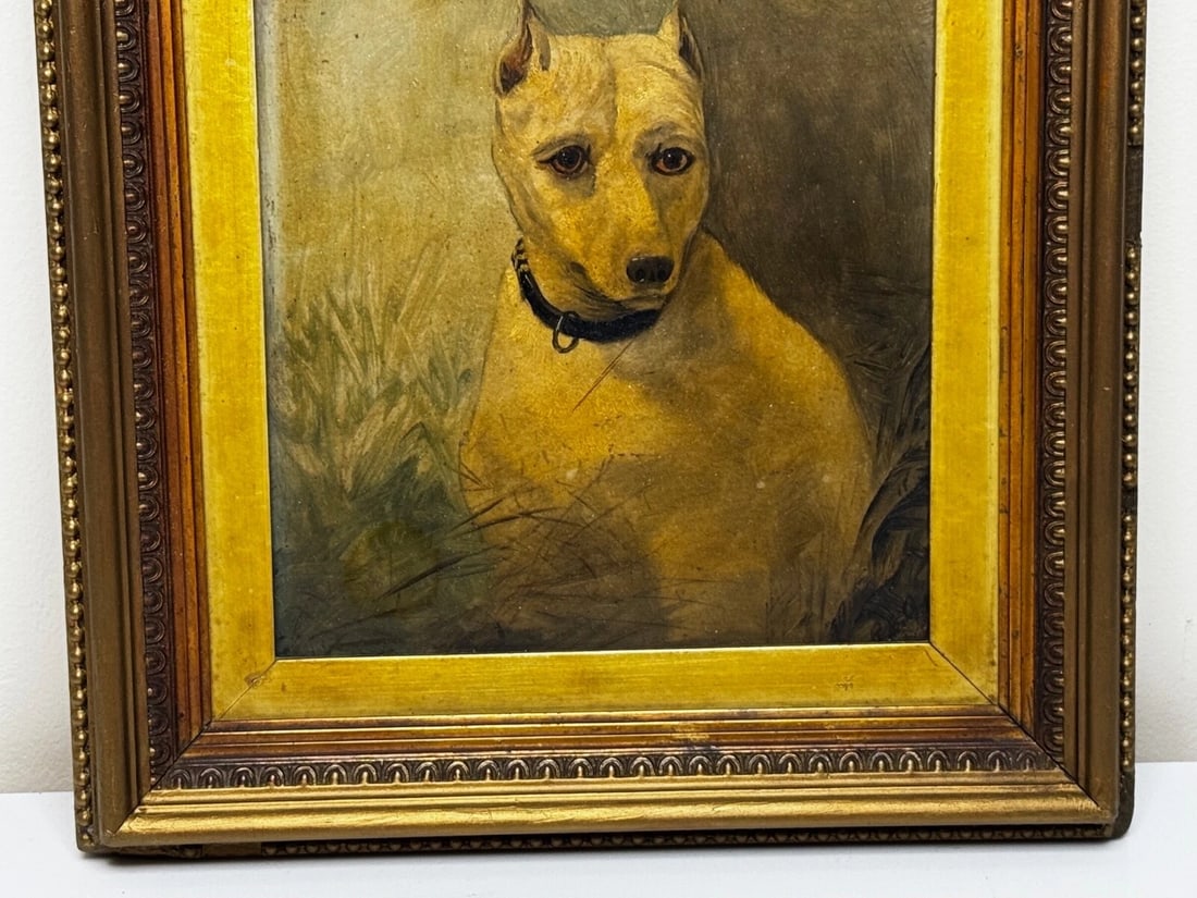 Rare Victorian Oil Painting Extinct White English Terrier Follow Of John Emms - 6