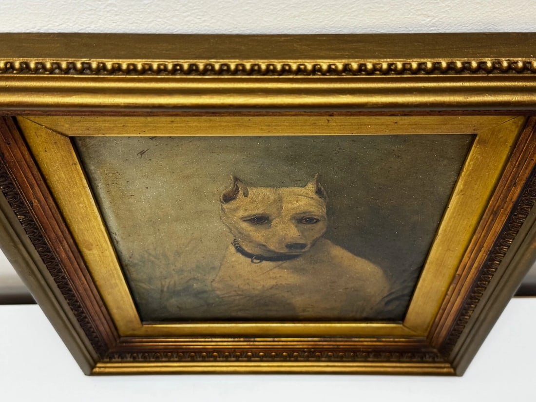 Rare Victorian Oil Painting Extinct White English Terrier Follow Of John Emms - 7