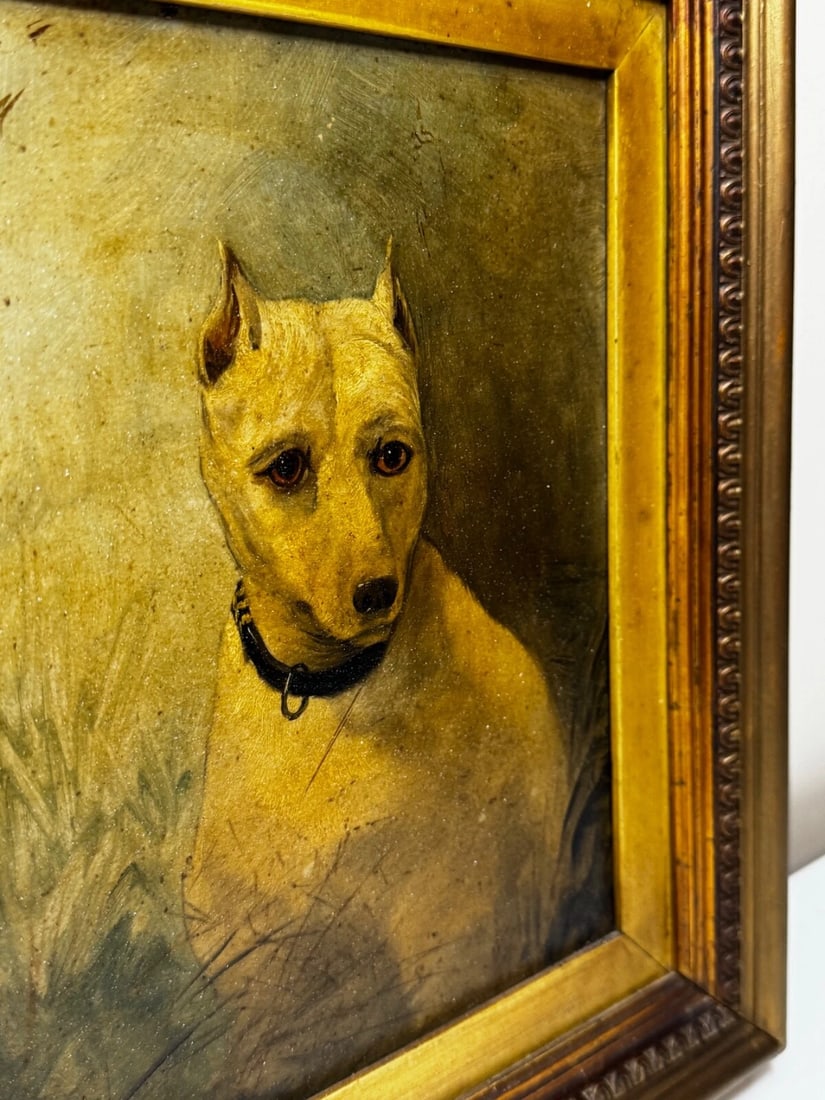 Rare Victorian Oil Painting Extinct White English Terrier Follow Of John Emms - 8