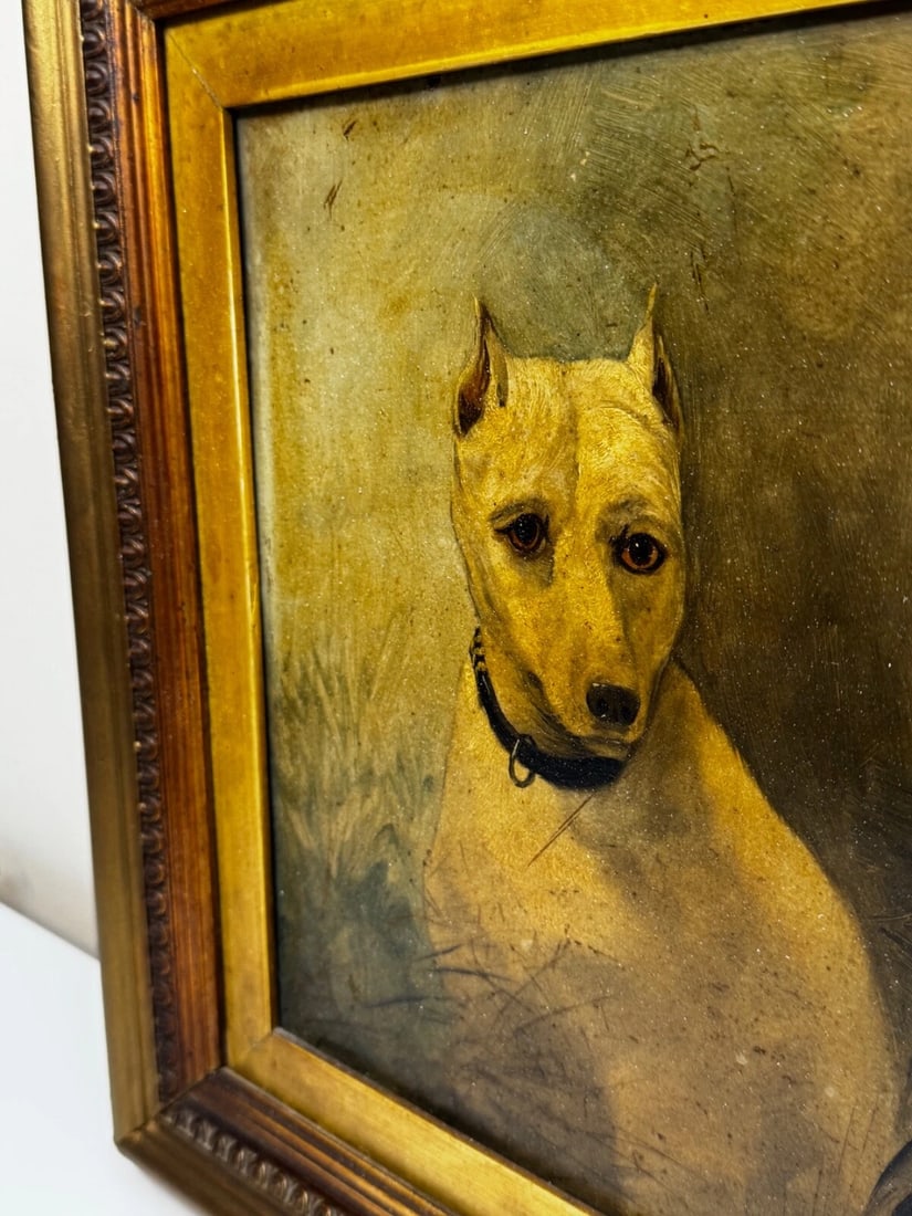 Rare Victorian Oil Painting Extinct White English Terrier Follow Of John Emms - 9