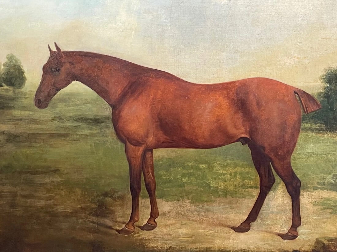 Georgian Oil Painting Bay Race Horse Partisan Bred By 4th Duke of Grafton C1827 - 2