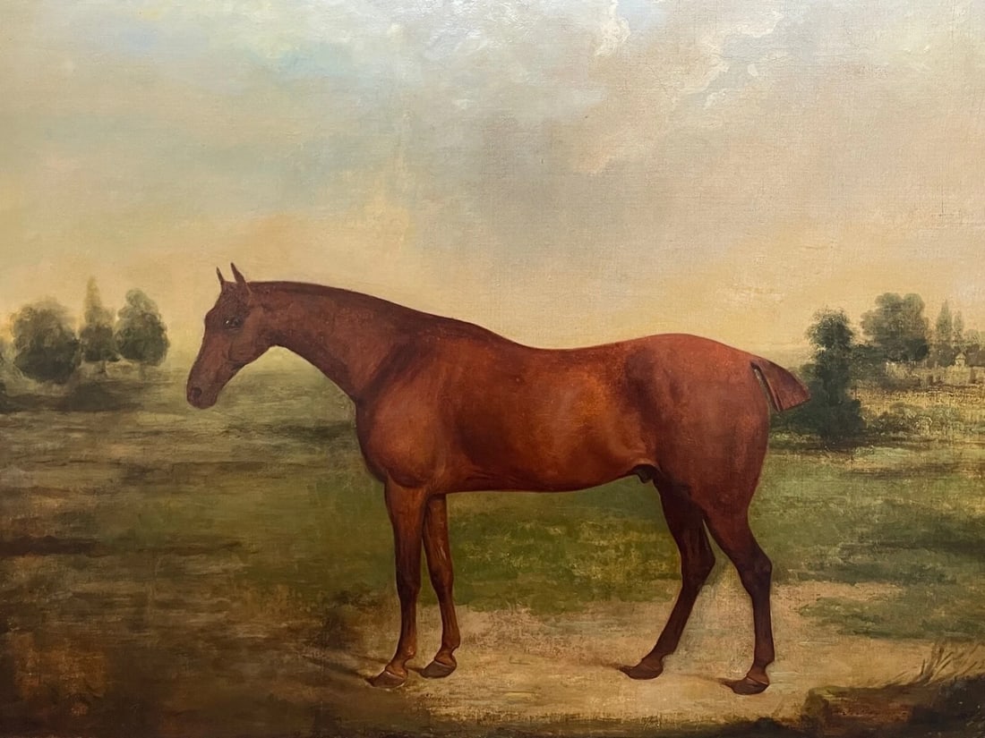 Georgian Oil Painting Bay Race Horse Partisan Bred By 4th Duke of Grafton C1827 - 3