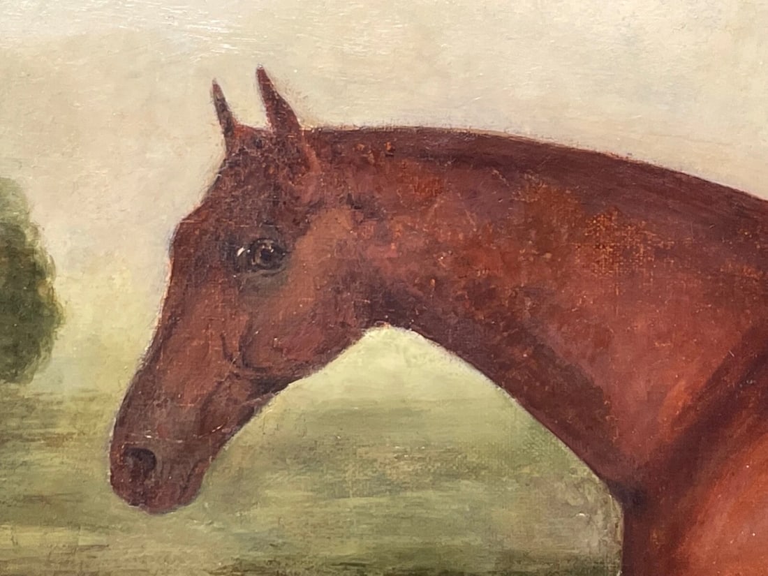 Georgian Oil Painting Bay Race Horse Partisan Bred By 4th Duke of Grafton C1827 - 4