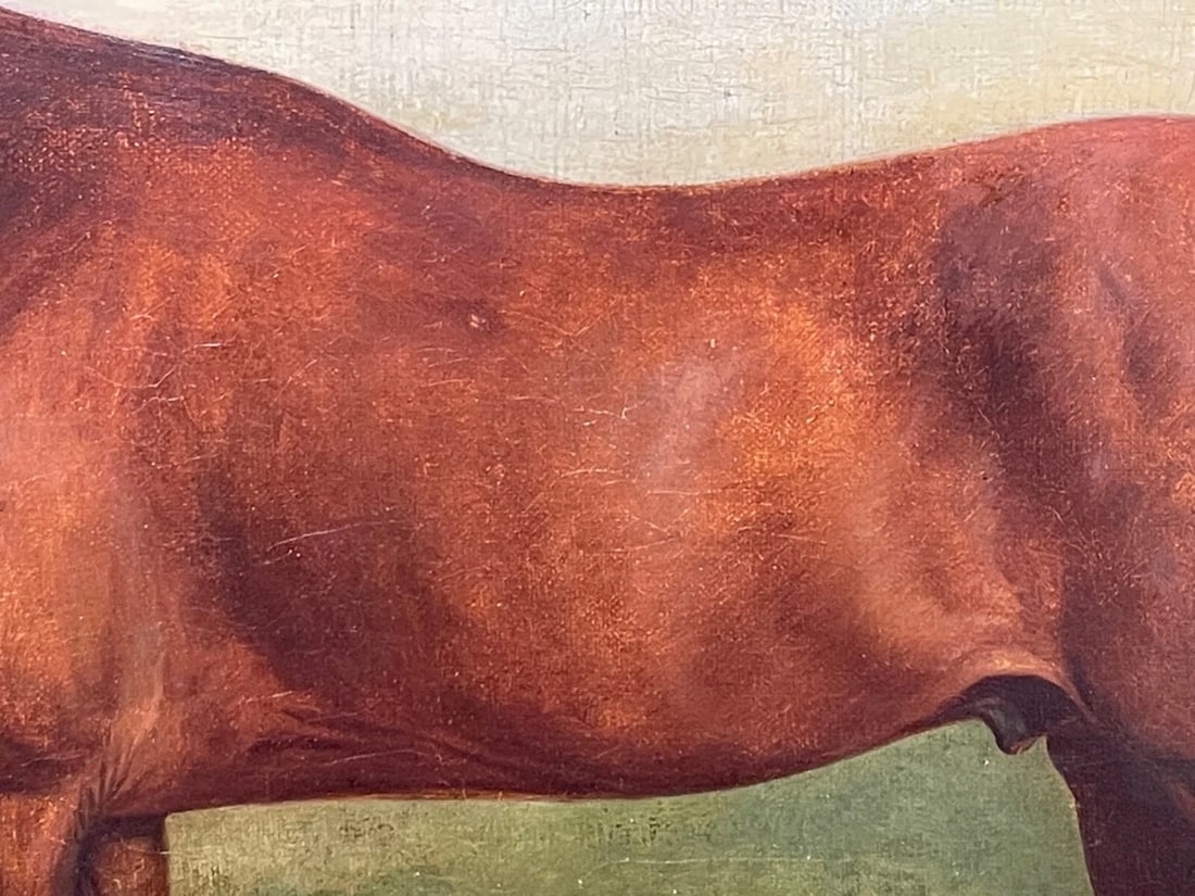 Georgian Oil Painting Bay Race Horse Partisan Bred By 4th Duke of Grafton C1827 - 5