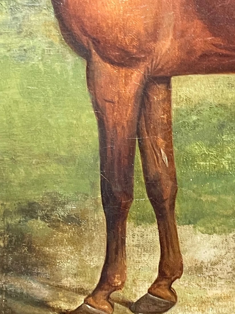 Georgian Oil Painting Bay Race Horse Partisan Bred By 4th Duke of Grafton C1827 - 6